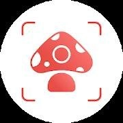 Picture Mushroom Pro
