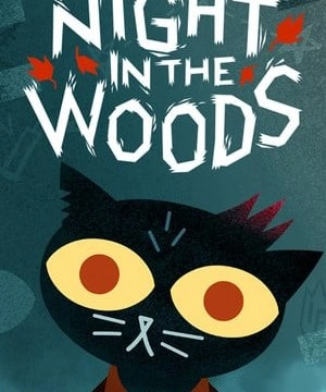 Night in the Woods встроенный кэш